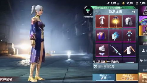 國(guó)際服 成年玩家的游戲樂園與挑戰(zhàn)場(chǎng)